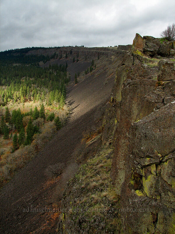Coyote Wall [top of Coyote Wall, Klickitat County, Washington]