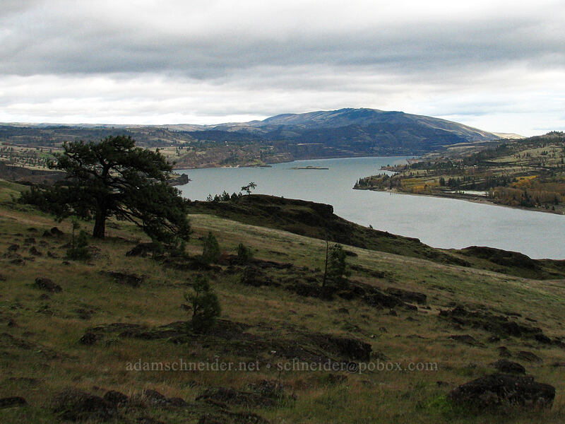 view to the east [top of Coyote Wall, Klickitat County, Washington]