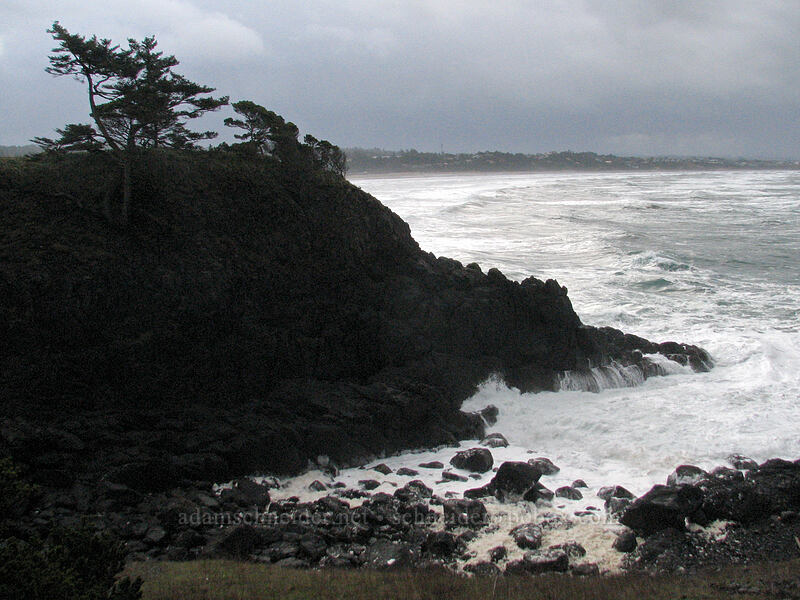 stormy headland [Yaquina Head, Lincoln County, Oregon]