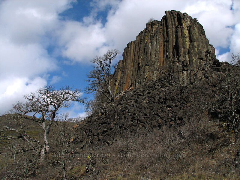basalt crags & oak trees [The Labyrinth, Gifford Pinchot National Forest, Klickitat County, Washington]