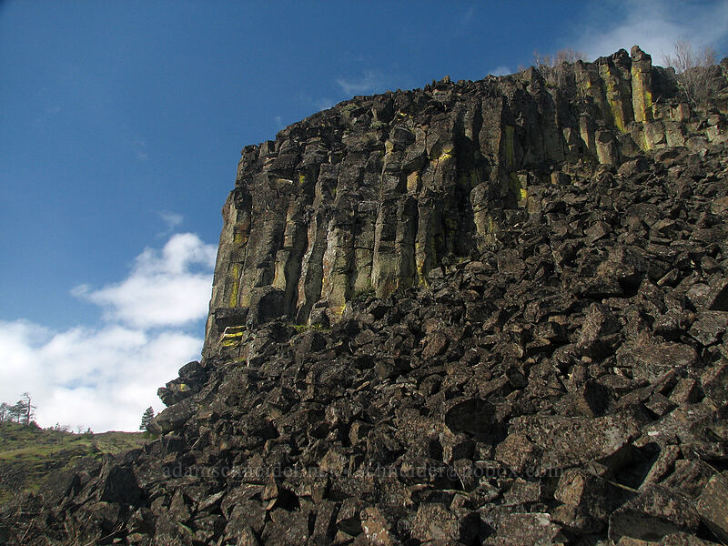 columnar basalt [The Labyrinth, Gifford Pinchot National Forest, Klickitat County, Washington]