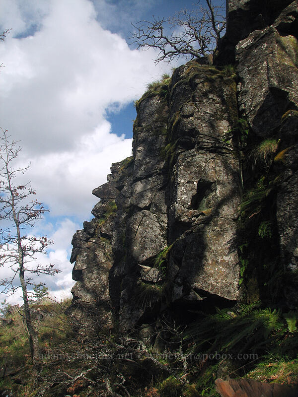small cliff I wanted to climb down [The Labyrinth, Gifford Pinchot National Forest, Klickitat County, Washington]