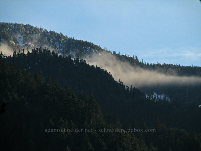 evening light in the Gorge [Dog Mountain Trailhead, Gifford Pinchot National Forest, Skamania County, Washington]