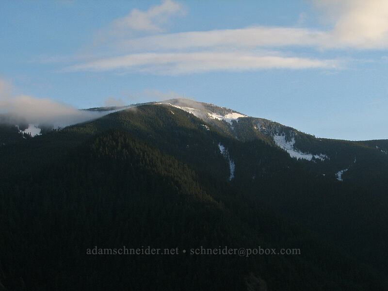 evening light on Mt. Defiance [Dog Mountain Trail, Gifford Pinchot National Forest, Skamania County, Washington]