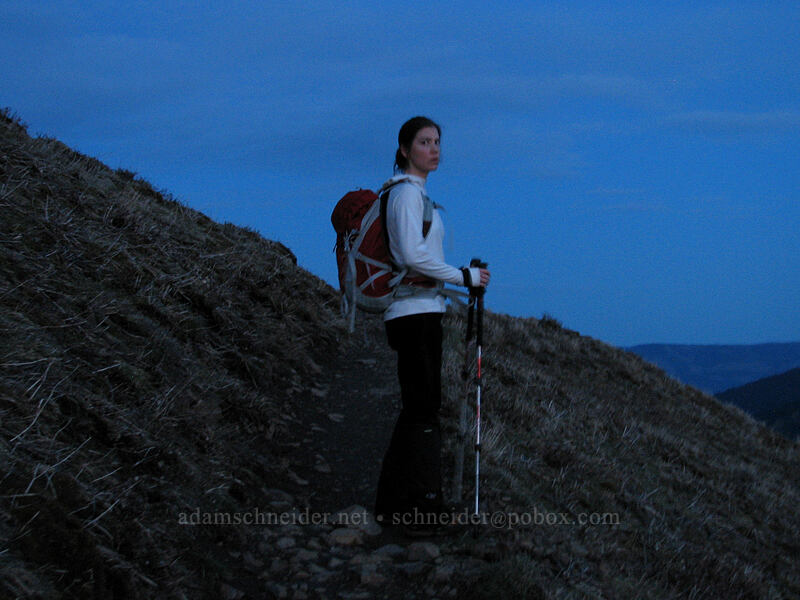 Tracy [Dog Mountain Trail, Gifford Pinchot National Forest, Skamania County, Washington]