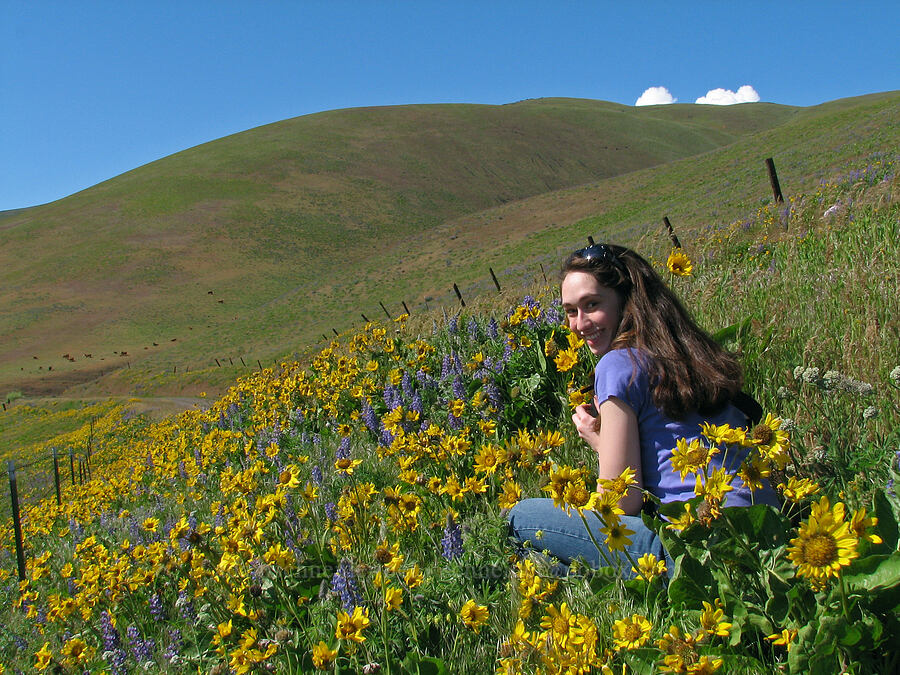 Laura [Dalles Mountain Road, Klickitat County, Washington]