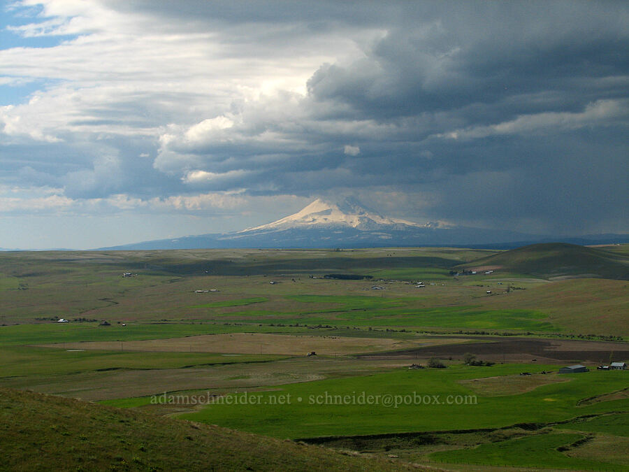 Mt. Adams [Dalles Mountain Road, Klickitat County, Washington]