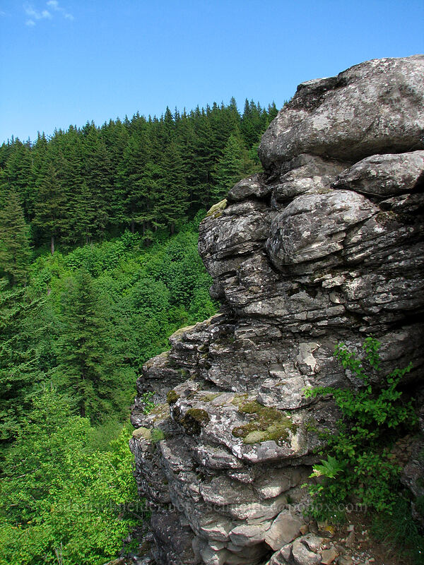 basalt [Angel's Rest, Columbia River Gorge, Multnomah County, Oregon]