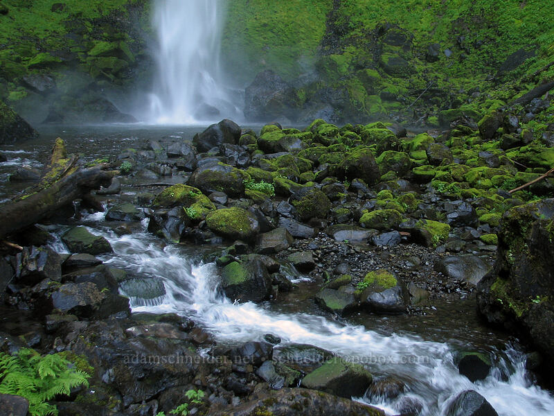 Elowah Falls [Elowah Falls Trail, John B. Yeon State Park, Multnomah County, Oregon]