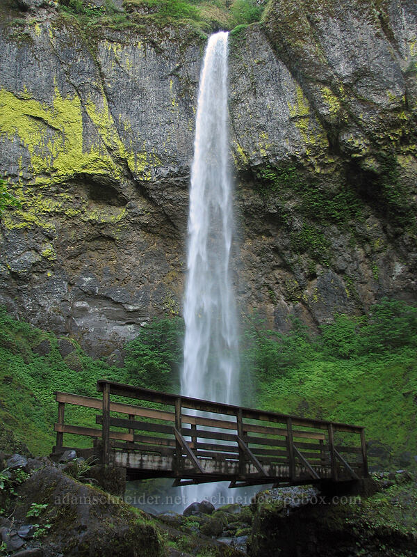 Elowah Falls [Elowah Falls Trail, John B. Yeon State Park, Multnomah County, Oregon]