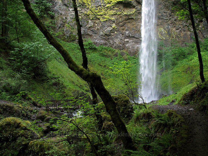 Elowah Falls [Elowah Falls Trail, John B. Yeon State Park, Multnomah County, Oregon]