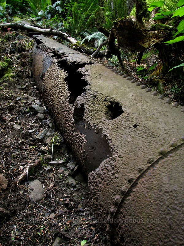 old pipe [Upper McCord Creek Falls Trail, John B. Yeon State Park, Multnomah County, Oregon]