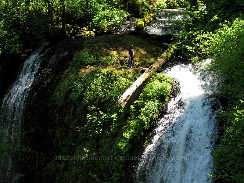 Laura at the top of the falls [Upper McCord Creek Falls Trail, John B. Yeon State Park, Multnomah County, Oregon]