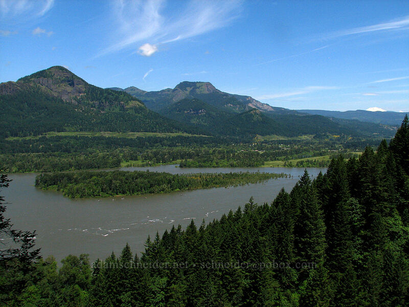 Hamilton Mountain, Table Mountain, & Mount Adams [Upper McCord Creek Falls Trail, John B. Yeon State Park, Multnomah County, Oregon]