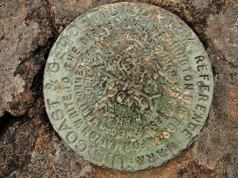 U.S. Coast & Geodetic Survey benchmark [Neahkanie Mountain, Oswald West State Park, Tillamook County, Oregon]