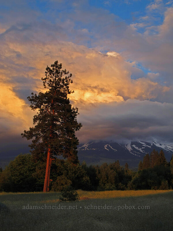 sunset over Mount Shasta [Boles Street, Weed, Siskiyou County, California]