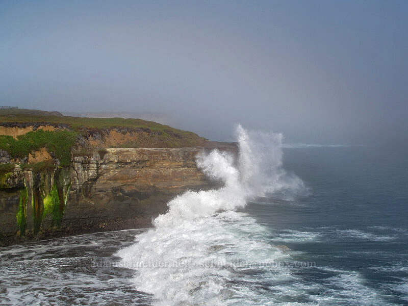 cliffs, waves, & fog [West Cliff Drive, Santa Cruz, Santa Cruz County, California]