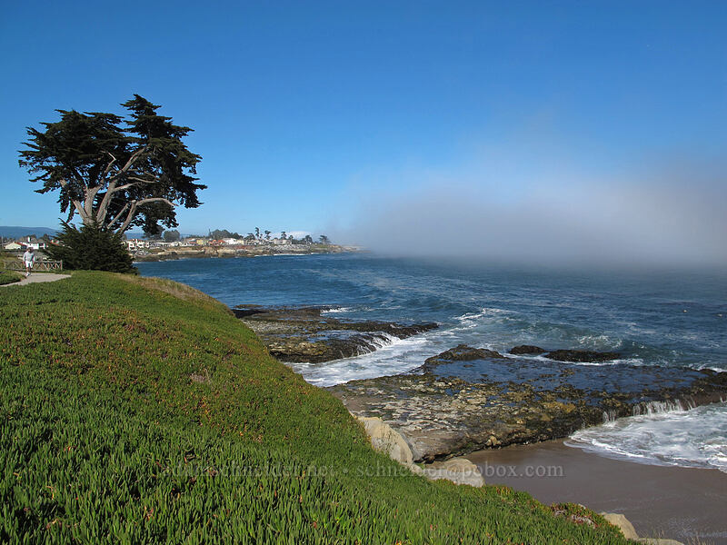 sun & fog [West Cliff Drive, Santa Cruz, Santa Cruz County, California]