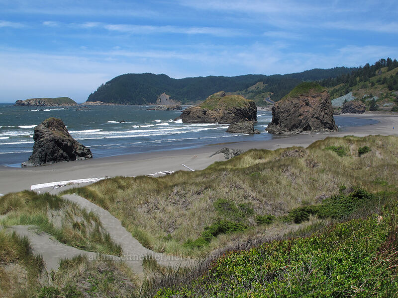 southern Oregon coast [Meyers Creek Beach, Pistol River State Park, Curry County, Oregon]