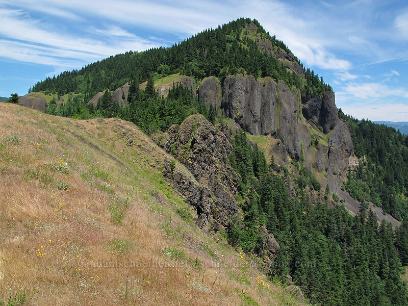 Hamilton Mountain [Little Hamilton Mountain, Beacon Rock State Park, Skamania County, Washington]