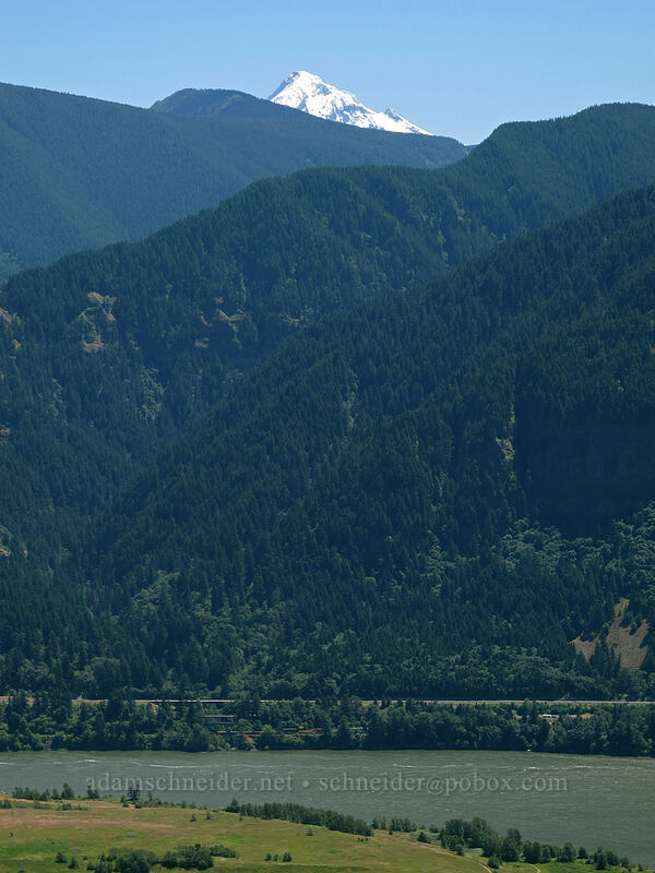 Mount Hood [Hamilton Mountain Trail, Beacon Rock State Park, Skamania County, Washington]