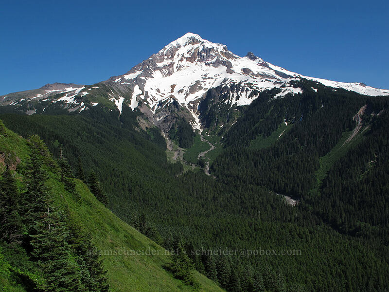 Mount Hood [Bald Mountain, Mt. Hood Wilderness, Clackamas County, Oregon]