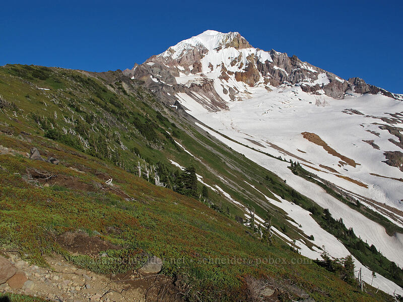 Mount Hood [McNeil Point, Mt. Hood Wilderness, Hood River County, Oregon]