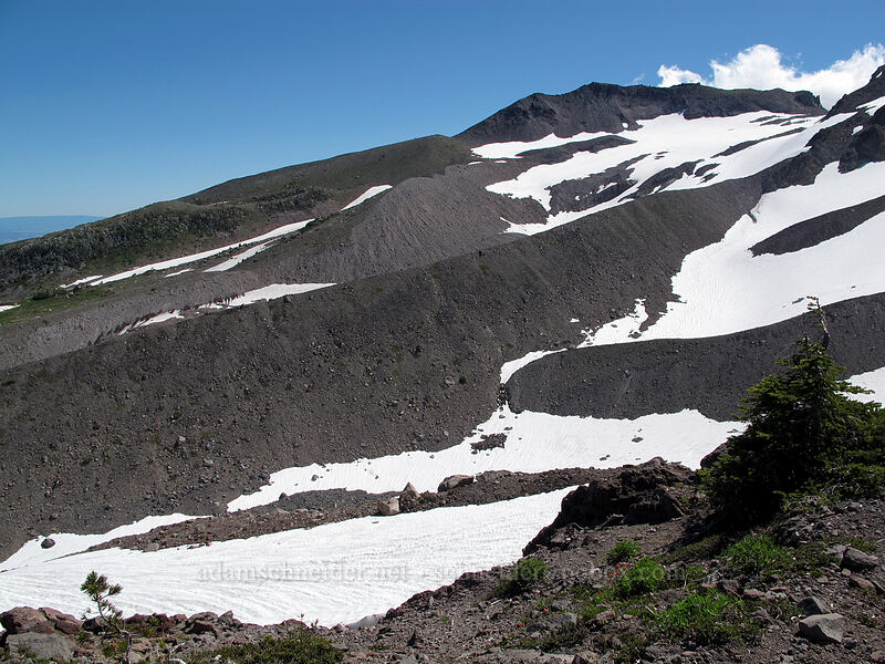 Glisan Glacier & Barrett Spur [above McNeil Point, Mt. Hood Wilderness, Clackamas County, Oregon]