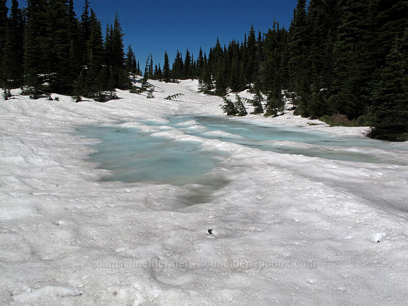 McNeil ponds [Timberline Trail, Mt. Hood Wilderness, Hood River County, Oregon]