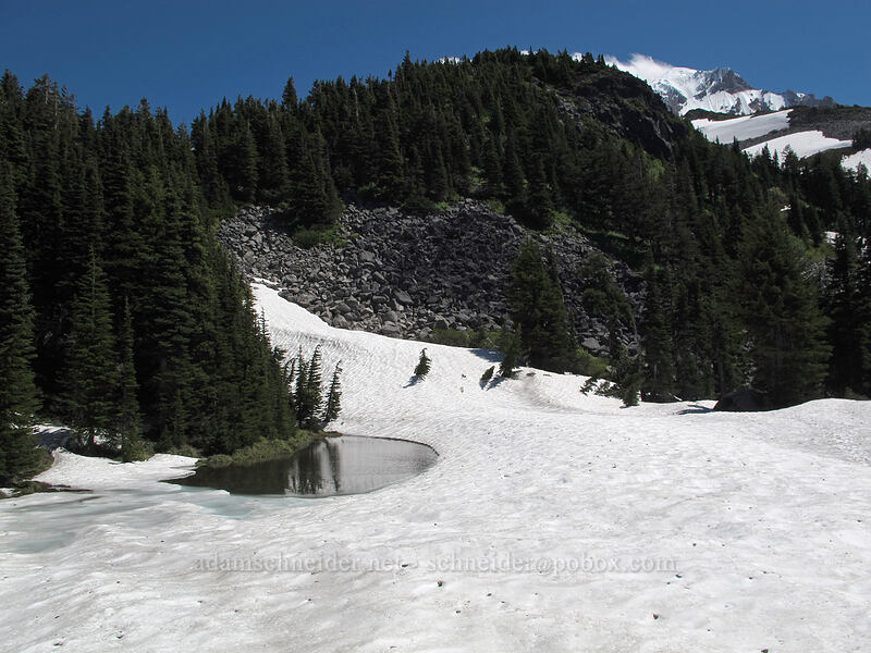 McNeil ponds [Timberline Trail, Mt. Hood Wilderness, Hood River County, Oregon]