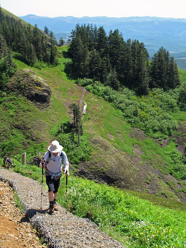 Tracy [Saddle Mountain, Clatsop County, Oregon]