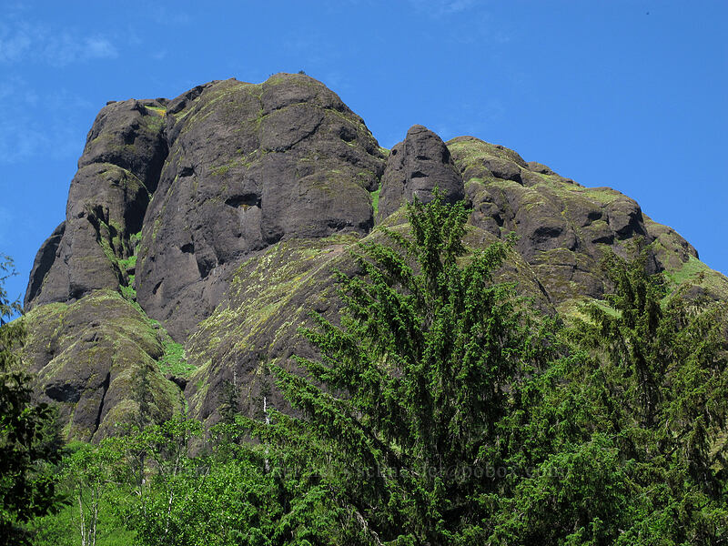 Saddle Mountain [Saddle Mountain Trailhead, Clatsop County, Oregon]