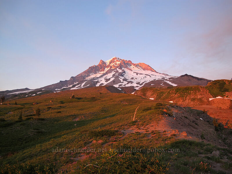Mount Hood at sunset [Paradise Park, Mt. Hood Wilderness, Clackamas County, Oregon]