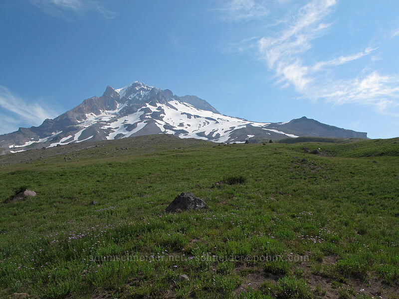 Mount Hood [Paradise Park, Mt. Hood Wilderness, Clackamas County, Oregon]