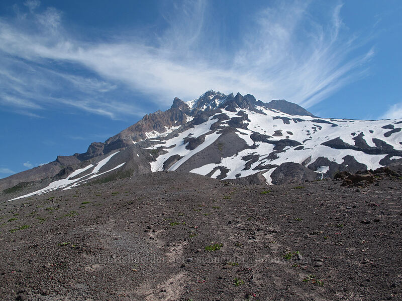Mount Hood [above Paradise Park, Mt. Hood Wilderness, Clackamas County, Oregon]