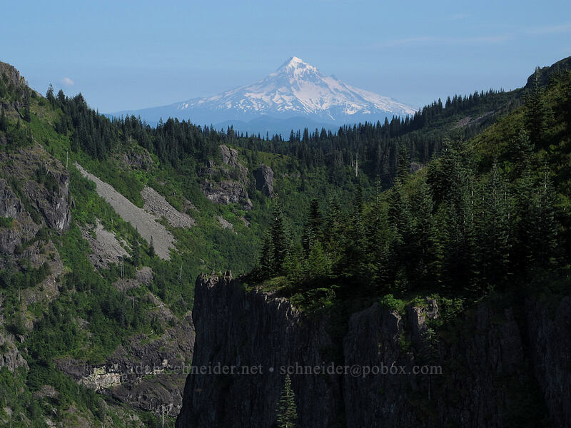 Mount Hood [Silver Star Mountain Trail, Gifford Pinchot Nat'l Forest, Skamania County, Washington]
