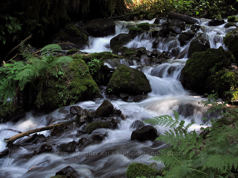 Wahkeena Creek [Wahkeena Trail, Columbia River Gorge, Multnomah County, Oregon]
