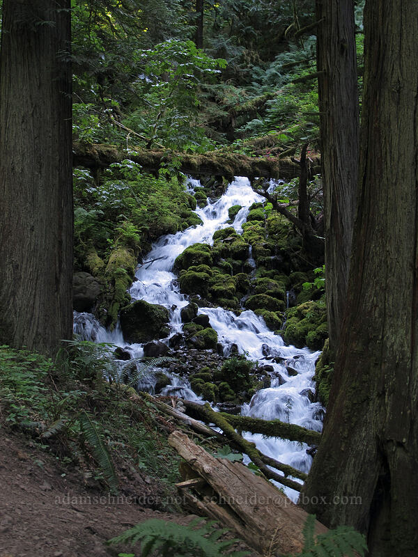 Wahkeena Creek [Wahkeena Trail, Columbia River Gorge, Multnomah County, Oregon]