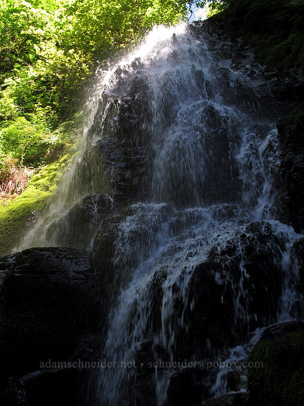 Fairy Falls [Wahkeena Trail, Columbia River Gorge, Multnomah County, Oregon]