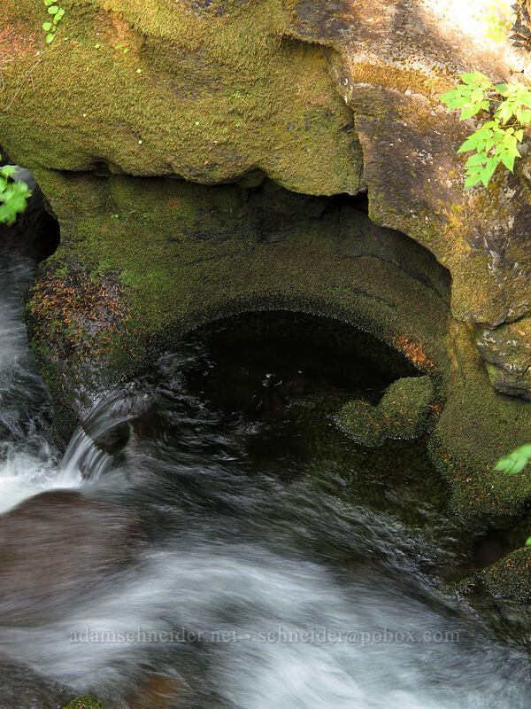 pothole [Falls Creek, Gifford Pinchot Nat'l Forest, Skamania County, Washington]