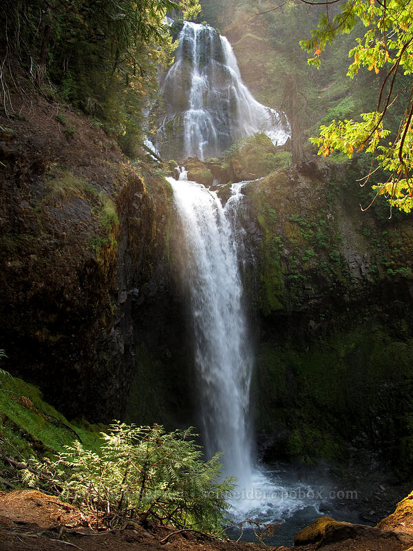 Falls Creek Falls [Falls Creek, Gifford Pinchot Nat'l Forest, Skamania County, Washington]