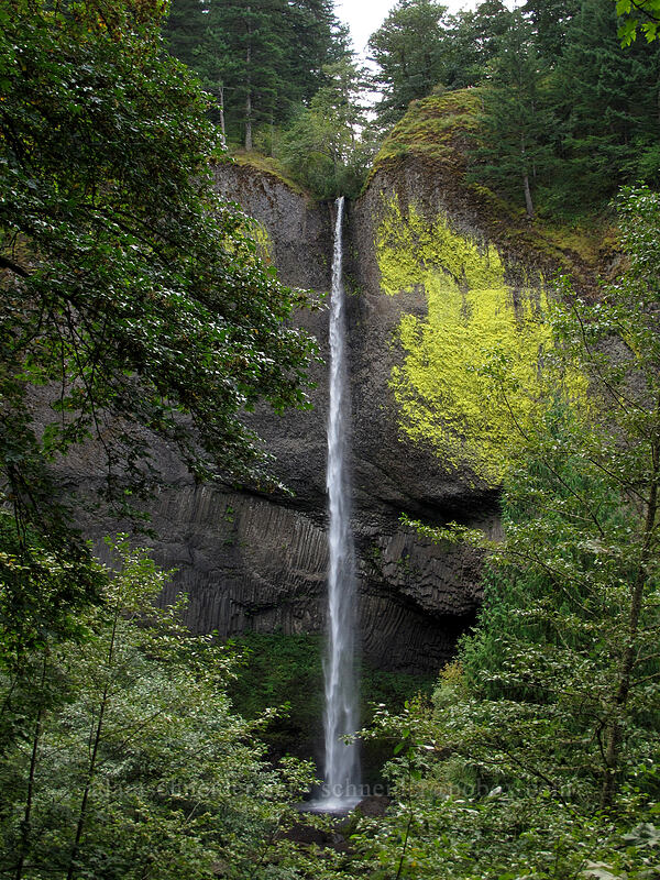 Lower Latourell Falls [Latourell Falls Trail, Multnomah County, Oregon]
