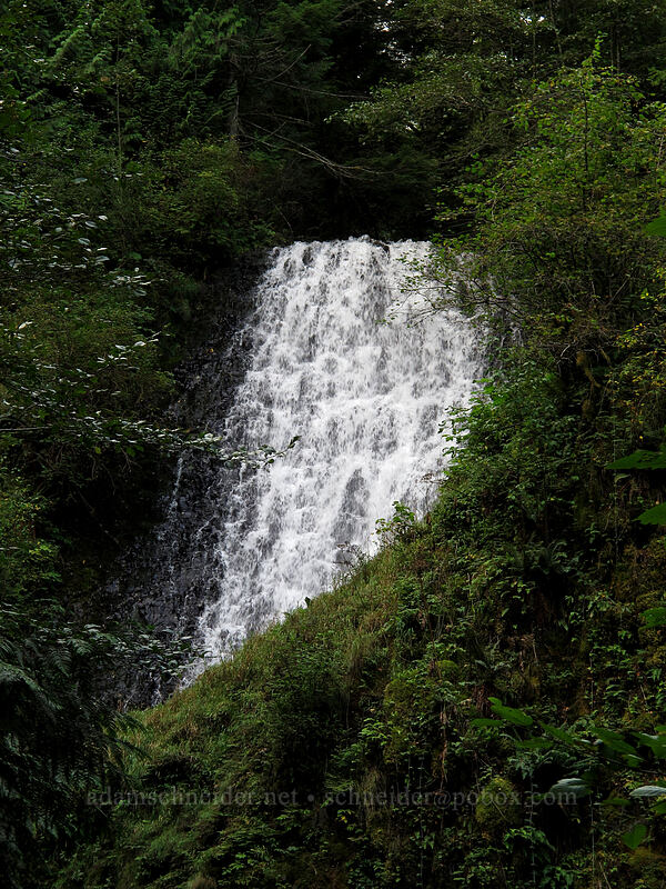 upper Upper Latourell Falls [Latourell Falls Trail, Multnomah County, Oregon]