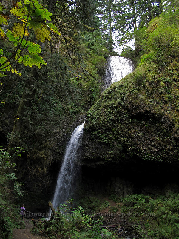 Upper Latourell Falls [Latourell Falls Trail, Multnomah County, Oregon]