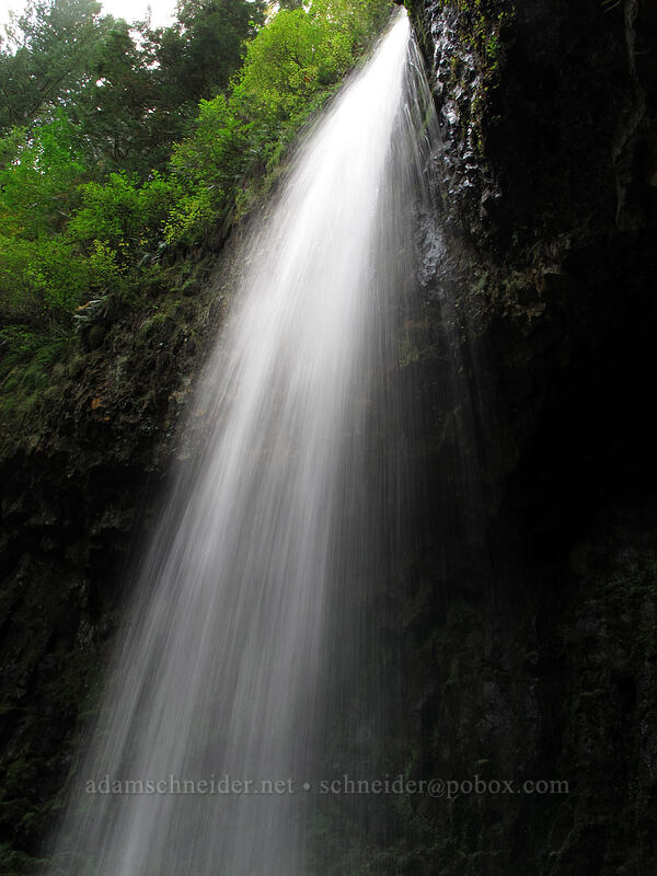 Upper Latourell Falls [Latourell Falls Trail, Multnomah County, Oregon]
