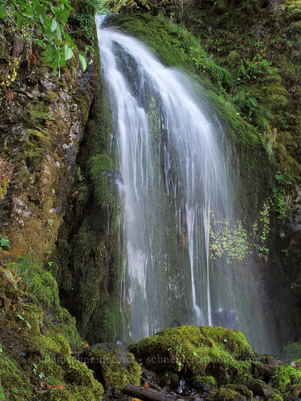 Lower Lancaster Falls [Mt. Defiance Trail, Columbia River Gorge, Hood River County, Oregon]