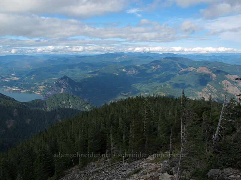 Wind Mountain & Dog Mountain [Mt. Defiance Trail, Columbia River Gorge, Hood River County, Oregon]