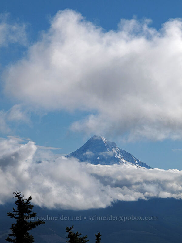 Mount Hood [Mt. Defiance summit, Columbia River Gorge, Hood River County, Oregon]