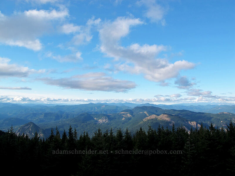 view to the north [Warren Lake Trail, Columbia River Gorge, Hood River County, Oregon]