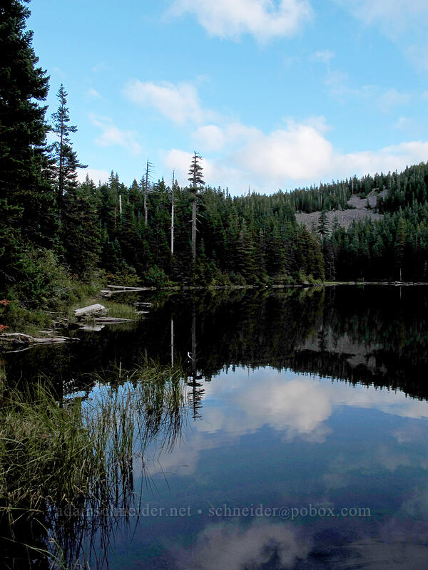 Warren Lake [Warren Lake Trail, Columbia River Gorge, Hood River County, Oregon]